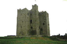 Castillo histórico en Irlanda